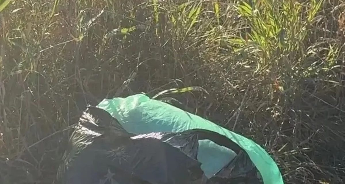 Двое жителей Камских Полян везли по трассе почти килограмм марихуаны и попались наркополицейским