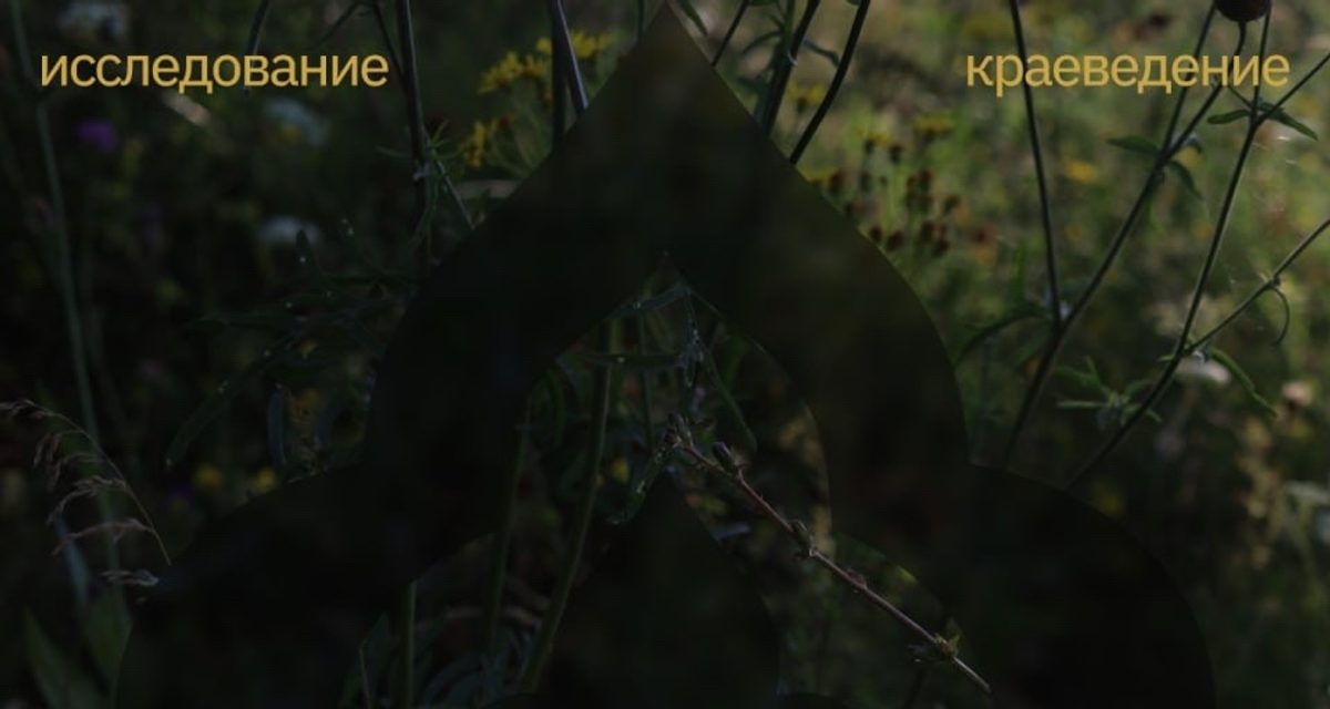 В Казани пройдет фестиваль в зооботсаду с оркестром и мастер-классами